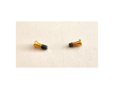 Authentic Cartier Eyeglass Hinge Screws Replacement Gold Silver