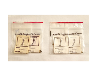 Authentic Cartier Eyeglass Hinge Screws Replacement Gold Silver