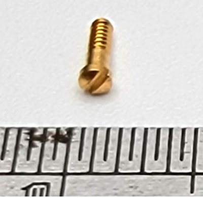 New Authentic Cartier Nose Pad Screws Replacement Gold Silver + Free Screwdriver