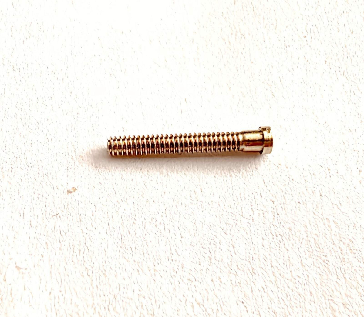 NEW! Auth Cartier Replacement/Spare Parts Screws - Free silicone caps & washers