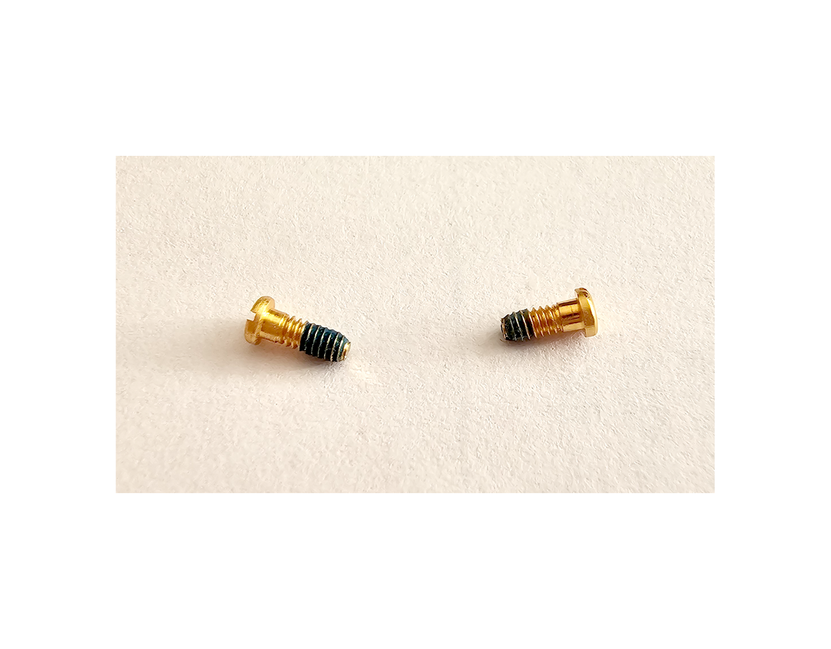Authentic Cartier Eyeglass Hinge Screws Replacement - Gold/Silver