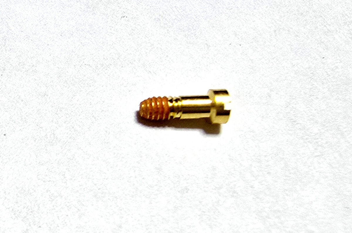 Auth Cartier Glasses Part Screws Replacement - Gold - Vintage Woods - $49/each