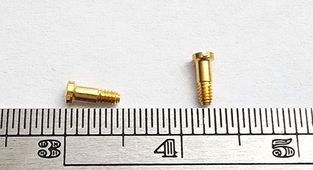 Authentic Cartier Glasses Replacement Screws Gold Silver Pair + Free Screwdriver