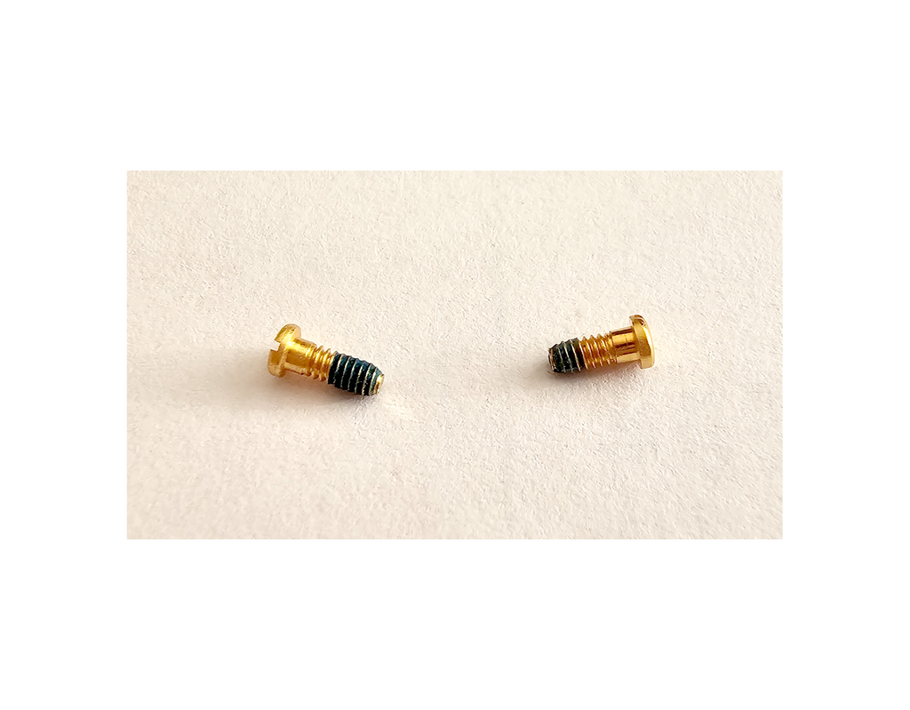 Authentic Cartier Eyeglass Hinge Screws Replacement Gold Silver