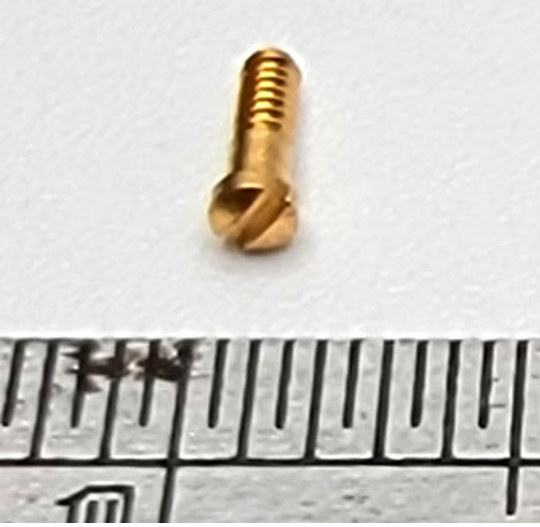 New Authentic Cartier Nose Pad Screws Replacement Gold Silver + Free Screwdriver