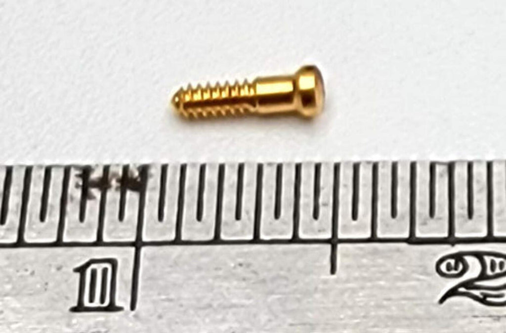 New Authentic Cartier Nose Pad Screws Replacement Gold Silver + Free Screwdriver