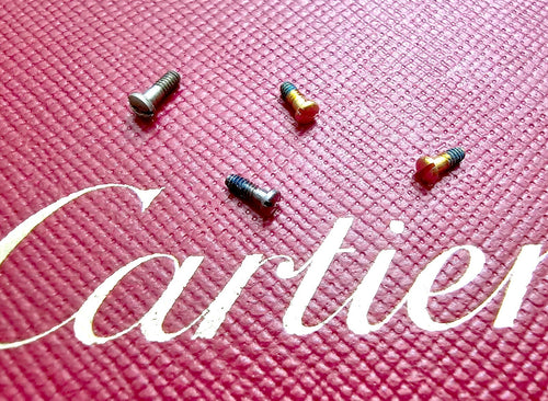 Authentic Cartier Eyeglass Hinge Screws Replacement Gold Silver
